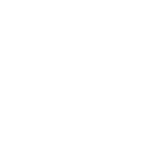 Meals of Steel logo